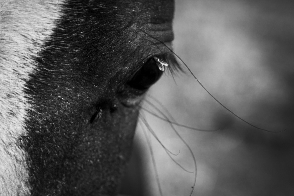 Untitled Dreams - The eye of the earth