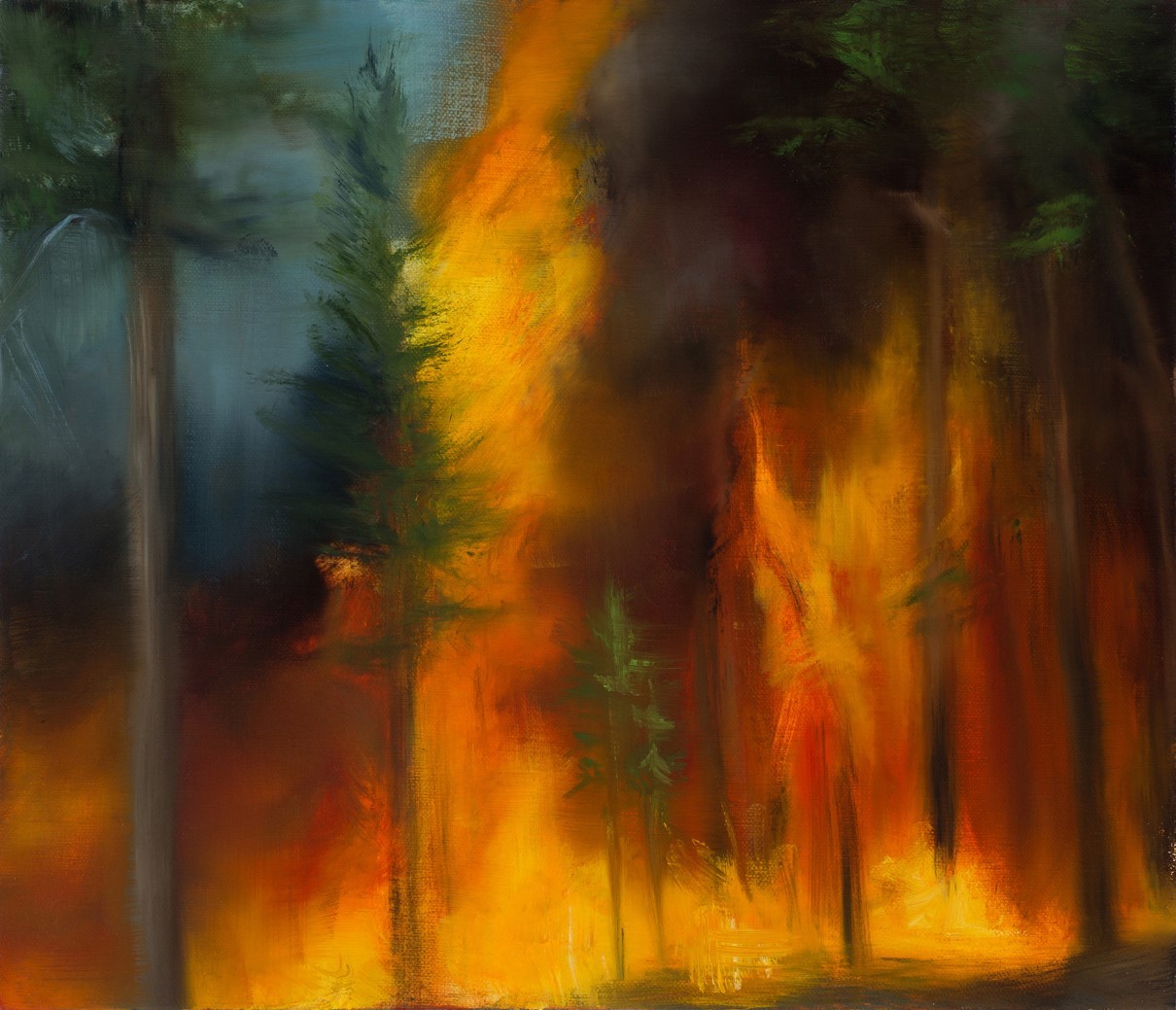Fire Swept Trees
