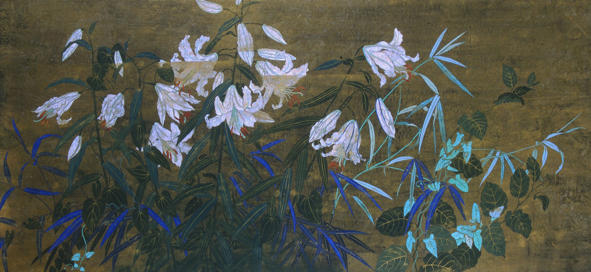 Radiant wild flower III