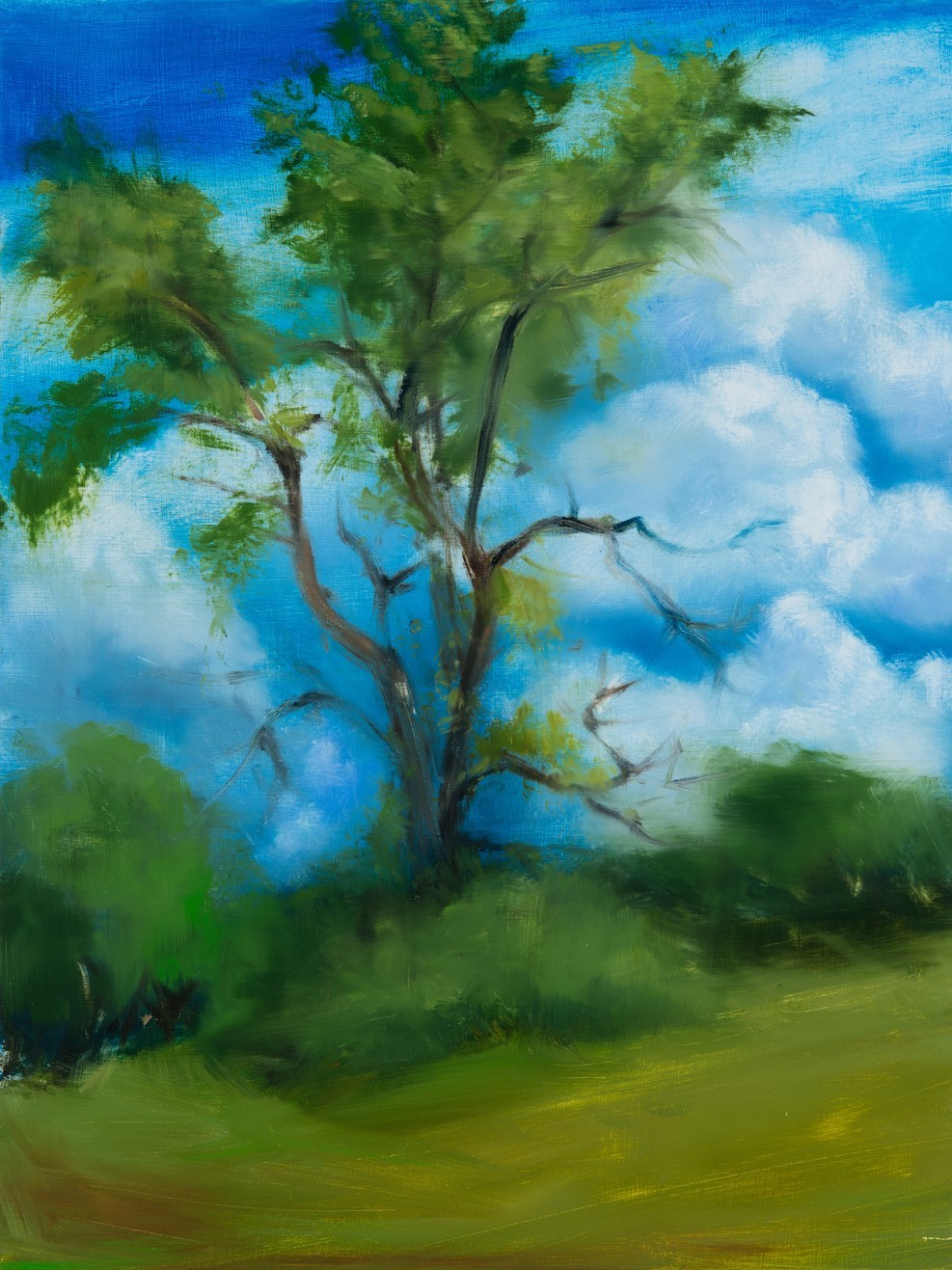 Tree Against Clouds