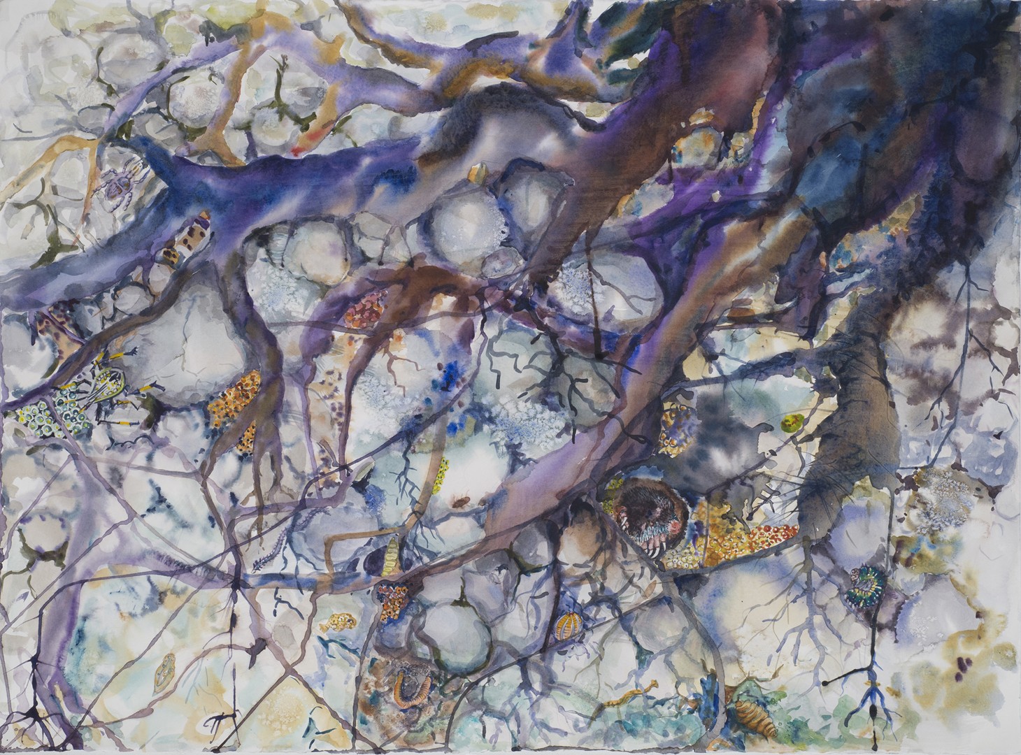 Roots and Insects